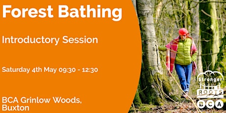 Forest Bathing - an introductory session