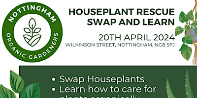 Houseplant Rescue - How to Care and Look after House Plants organically primary image
