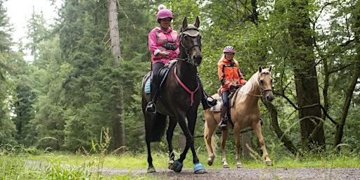 Primaire afbeelding van Haldon Horse Riders