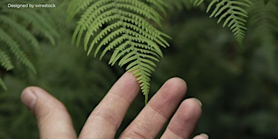 Hauptbild für Nature of Women (NOW) - Thema: Menschlichkeit