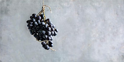 Perfect Pinot Noir primary image