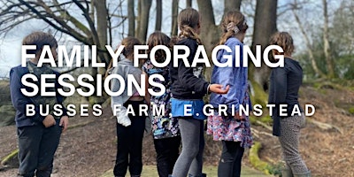 Primaire afbeelding van Family Foraging Sessions