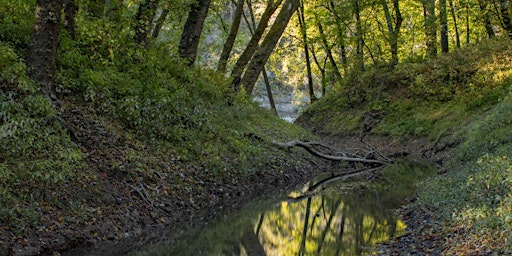 Hauptbild für Golden Hour Hike to the Kentucky River