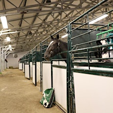 Barn Tour at Century Downs Race Track