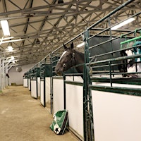 Barn Tour at Century Downs Race Track primary image