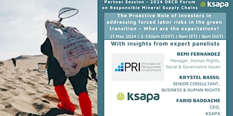 The Role of Investors in addressing forced labor in the green transition