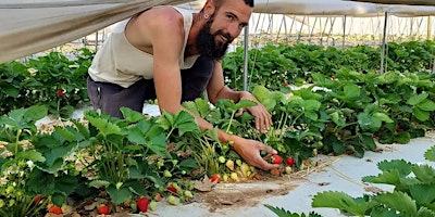 Hauptbild für Raccogliamo le fragole!