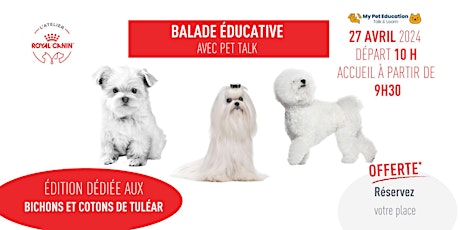 Socialisation du Bichon et Coton de Tuléar : balade éducative avec Pet Talk