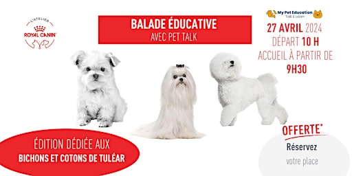 Hauptbild für Socialisation du Bichon et Coton de Tuléar : balade éducative avec Pet Talk