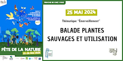 Hauptbild für Fête de la Nature - Balade plantes sauvages et utilisation