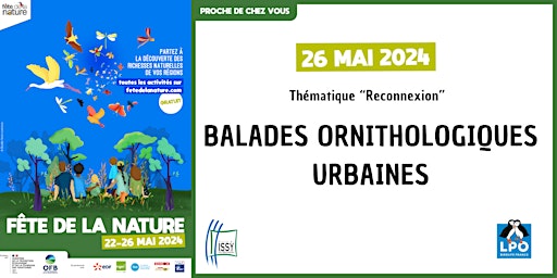 Hauptbild für Fête de la Nature - Balade ornithologique urbaine avec la LPO (1/2)