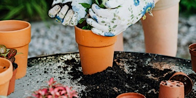 Immagine principale di Let's Grow! Container Garden Workshop with the Experts! 