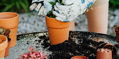 Let's Grow! Container Garden Workshop with the Experts!