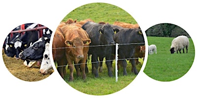 AFBI "Farming for the Future" Open Days (Dairy-18th & Beef/Sheep-19th June) primary image