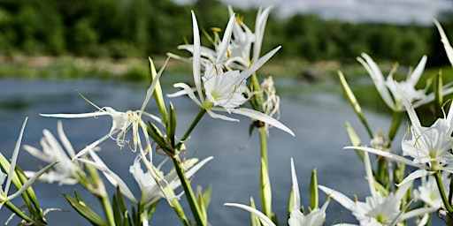 Primaire afbeelding van Mother's Day Paddle