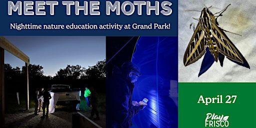 Imagem principal de Meet the Moths