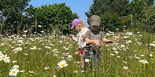 Hauptbild für Wild Tots in Holywells Park (E9P 2814)