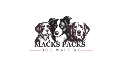 Imagen principal de Pack Walk