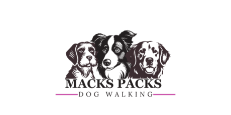 Pack Walk