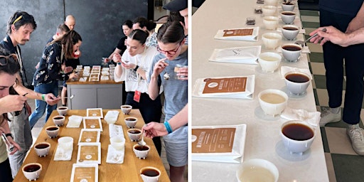 Coffee Class X Cupping Edition! primary image