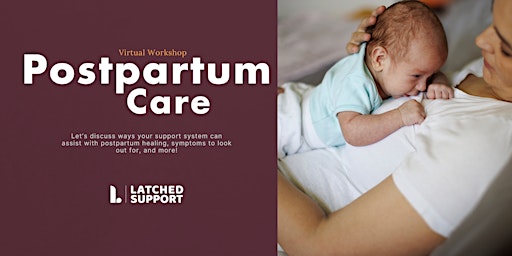 Hauptbild für Postpartum Care Workshop - Virtual