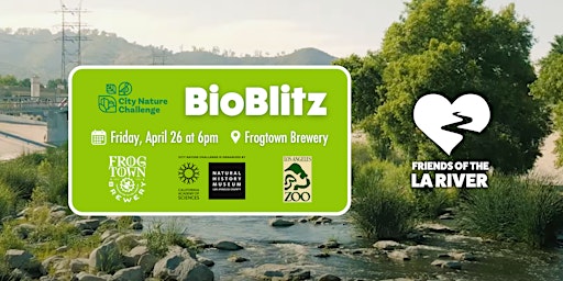 Hauptbild für City Nature Challenge BioBlitz!