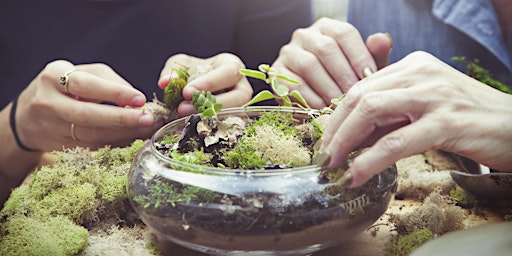 Hauptbild für Plant N' Sip