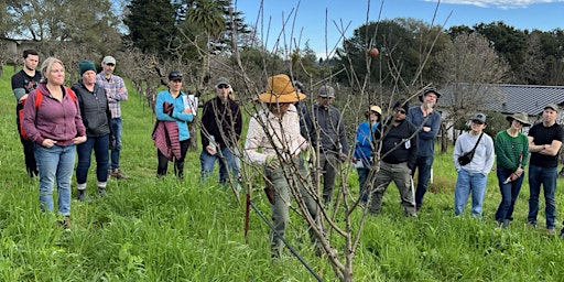 Image principale de Ethic's Apple Orchard Tour