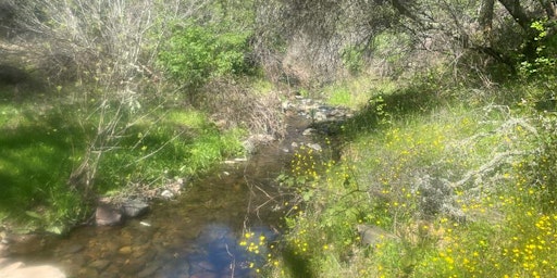 Acorn Creek Invasive Removal  primärbild