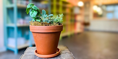 Kitchen Herb Garden Workshop primary image