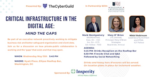 Critical Infrastructure in the Digital Age: Mind the Gaps primary image