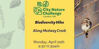 Biodiversity Hike along Medway Creek primary image