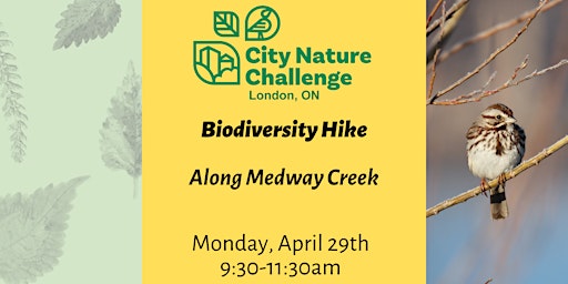 Imagem principal do evento Biodiversity Hike along Medway Creek
