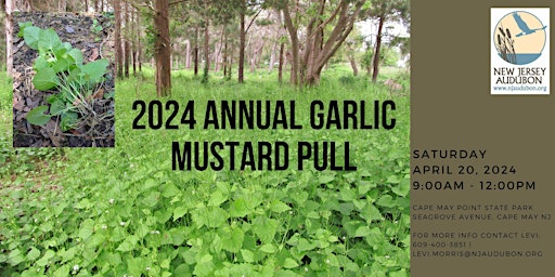 Hauptbild für Annual Garlic Mustard Pull