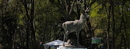 Imagem principal de Parque de los Venados 2