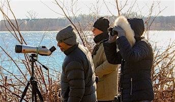 Bird Walks Along The River  primärbild