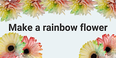 Make a Rainbow Flower primary image