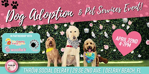 Imagem principal do evento Dog Adoption, Pet Care Services, Pet Paintings & Happy Hour @ Throw Social!