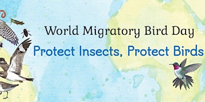 Imagen principal de World Migratory Bird Day: Guided Bird Count