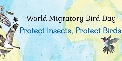 Image principale de World Migratory Bird Day: Guided Bird Count