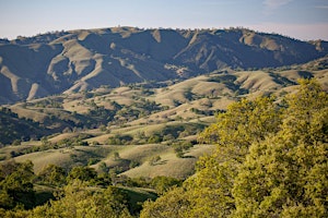 Guided Hike Series at Rana Creek - Wildflower Meadow