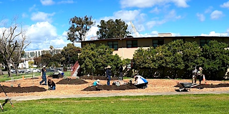 Healing Harvest (Touro Food Forest) woodchip workday