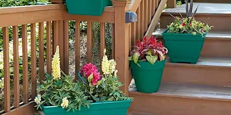 Colorful Flower Boxes