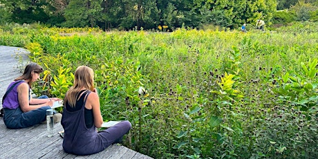 Botanical Drawing at the Naval Cemetery Landscape, host Jessica Dalrymple