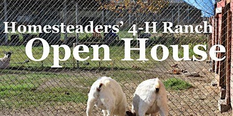 4-H Ranch Open House--FREE! Come & Go. No reservations needed.