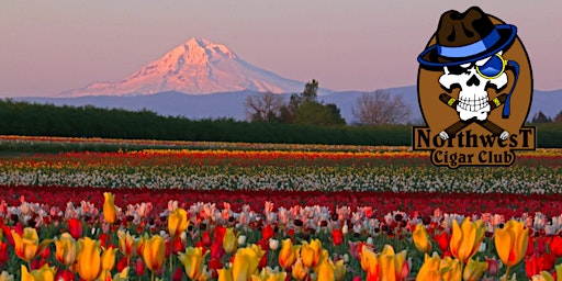 Tulip Smoke primary image