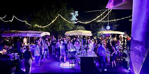 Imagem principal do evento Summersoul im Weinberg