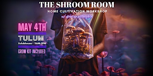 The Shroom Room | Tulum