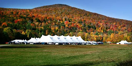 Hauptbild für Stowe Foliage Arts Festival