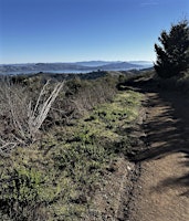 Community Hike for the Integral Psychedelic Community primary image